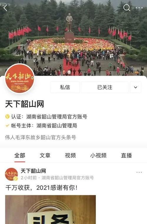 頭條總閱讀量無變化,揭秘頭條總閱讀量不變之謎