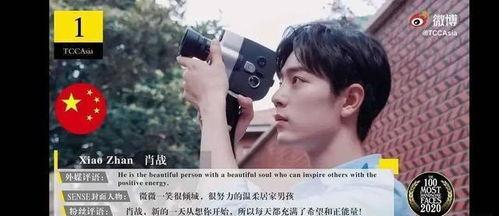 肖戰(zhàn)吃瓜事件看法,娛樂圈風波再起，真相與輿論的較量