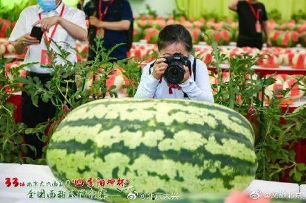 吃瓜大賽溧陽,瓜香四溢，歡樂滿城
