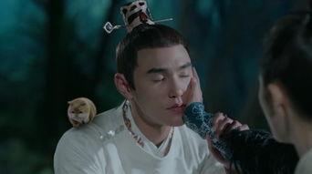 扶搖在線觀看酷,在線追劇，領(lǐng)略古裝仙俠的奇幻魅力