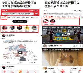 頭條關(guān)注顯示直播中,深度解析！