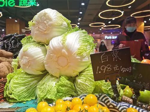 長春網(wǎng)紅大白菜,綠意盎然，人氣爆棚的蔬菜傳奇